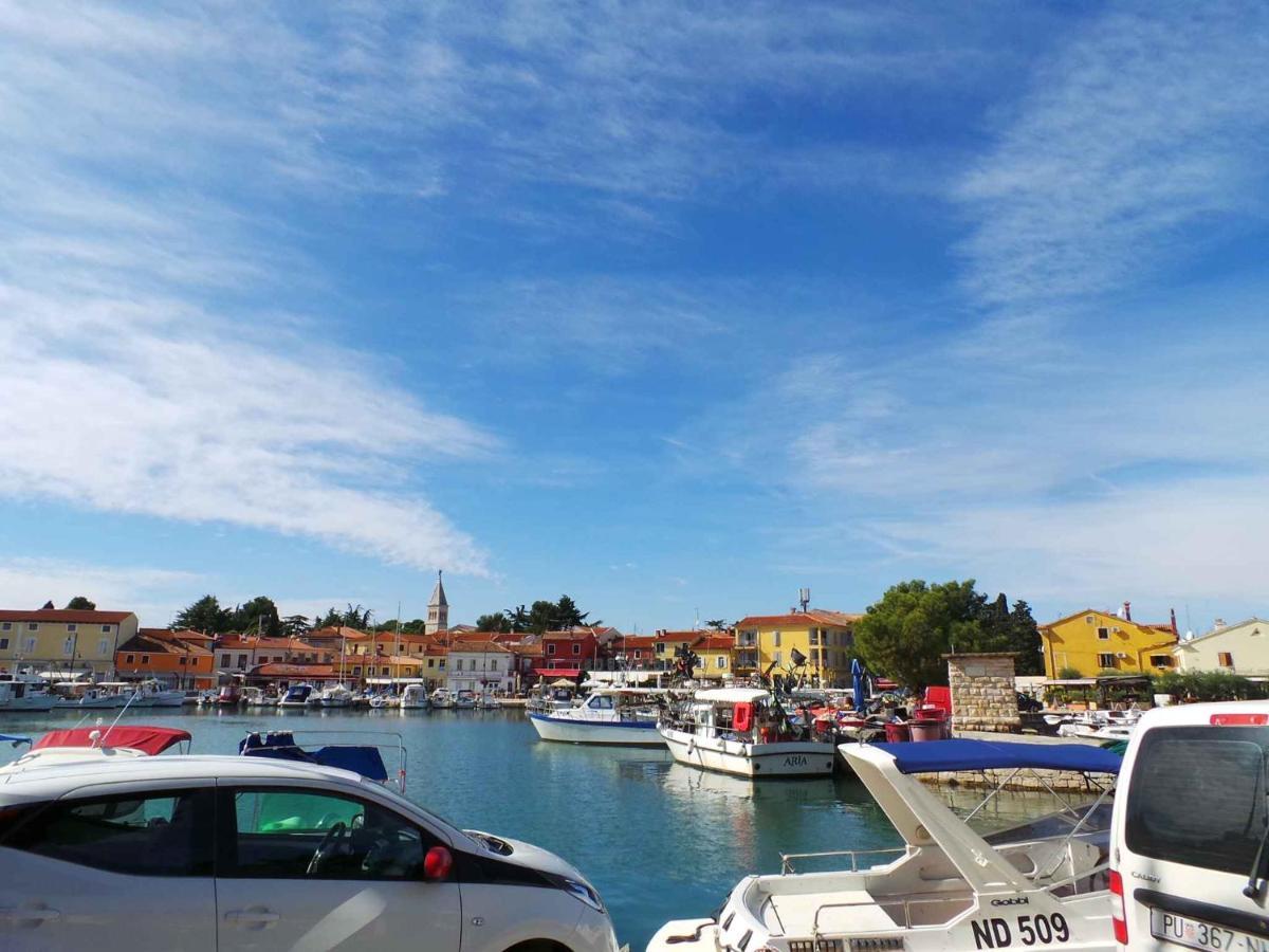 Apartments In Lopar - Insel Rab 40853 Esterno foto