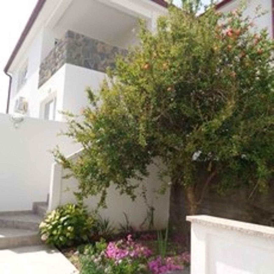 Apartments In Lopar - Insel Rab 40853 Esterno foto